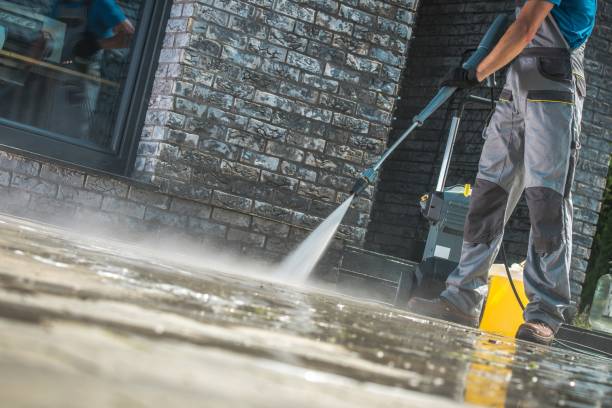 Best Soft Washing for Delicate Surfaces in Greenville, FL